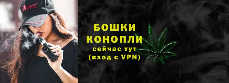 Каннабис OG Kush  Богородск 